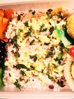 しば漬けと鮭で★寿司部活弁当-レシピのメイン写真