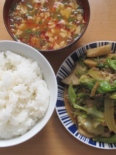 餡かけ回鍋肉風キャベツ炒め-レシピのメイン写真