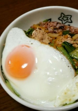 ガパオライス風そぼろご飯-レシピのメイン写真