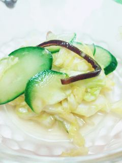 キャベツの塩昆布和え-レシピのメイン写真