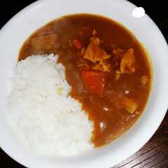 わたし好みのカレー-レシピのメイン写真