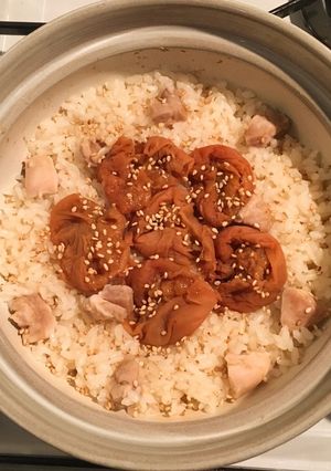 土鍋で梅干しの炊き込みご飯-レシピのメイン写真