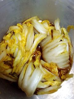 白菜の漬物風-レシピのメイン写真