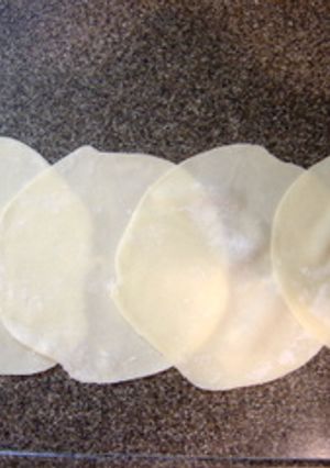 手作り餃子の皮-レシピのメイン写真