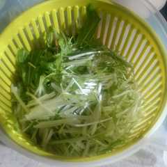 รูปของ カンタン!水菜の保存