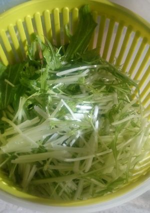 カンタン!水菜の保存-レシピのメイン写真
