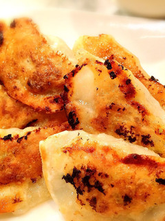 普通の焼き餃子(覚書)-レシピのメイン写真