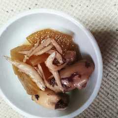 いかと大根としらすの煮物-レシピのメイン写真