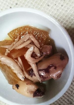 いかと大根としらすの煮物-レシピのメイン写真