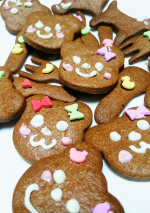 冬の＊ココアシナモンクッキー♪-レシピのメイン写真