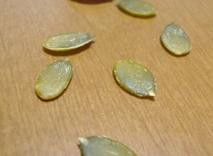 捨てていませんか？かぼちゃの種☆-レシピのメイン写真