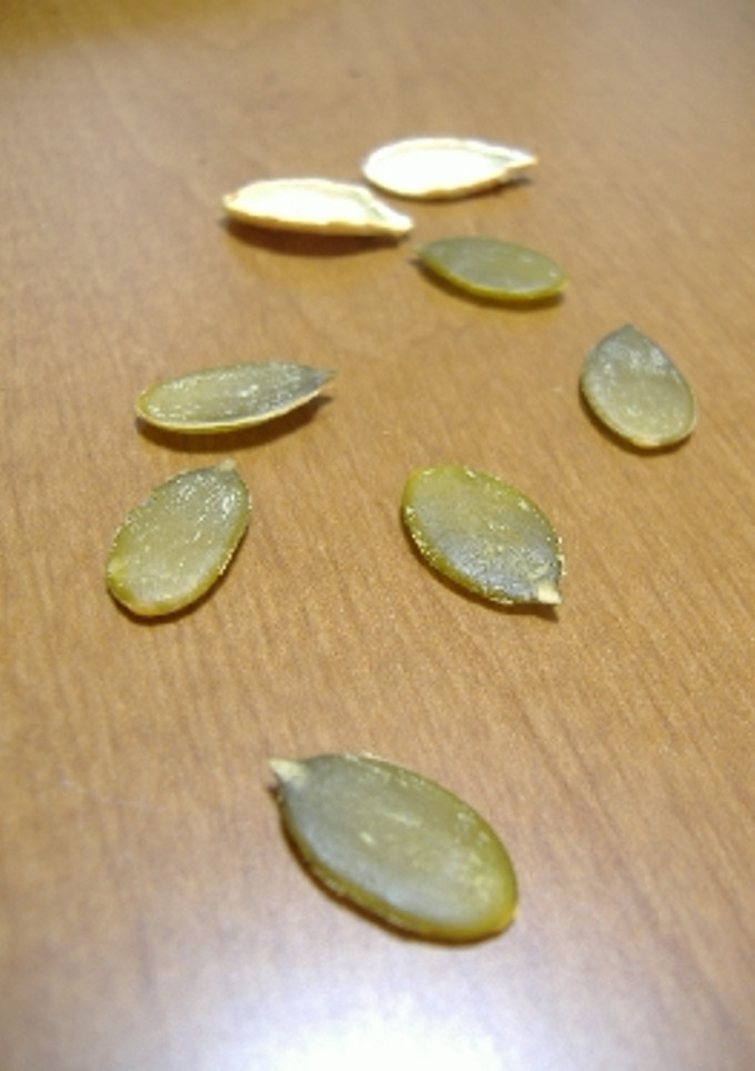 捨てていませんか？かぼちゃの種☆-レシピのメイン写真