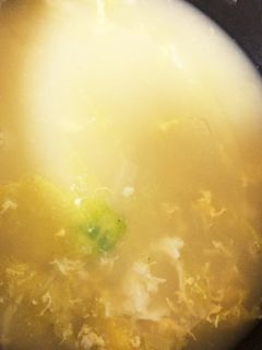 白菜と卵のスープ-レシピのメイン写真