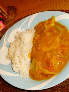モザンビークカレー✨野菜沢山❗煮込み不要-レシピのメイン写真