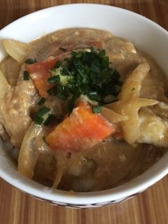 牛丼の残り汁で簡単豚丼♪-レシピのメイン写真