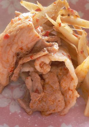 豚肉とごぼうのピリ辛炒め-レシピのメイン写真