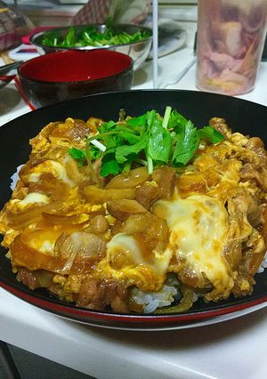 鳥好きの為の親子丼(煮汁濃いめ)-レシピのメイン写真
