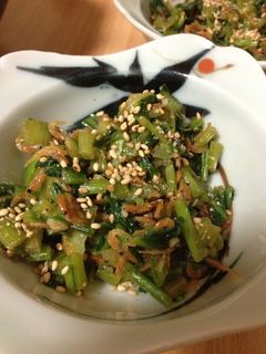 根菜の葉エスニック炒め-レシピのメイン写真