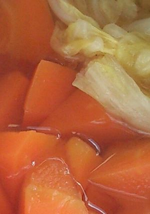人参＆白菜のおでん風味煮込み-レシピのメイン写真
