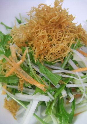千切り野菜とカリカリのサラダ-レシピのメイン写真
