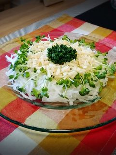 W大根サラダ-レシピのメイン写真