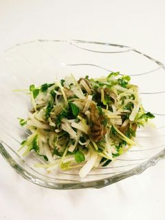 大根と貝割れのおつまみサラダ-レシピのメイン写真