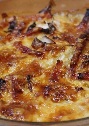 白菜のチーズ焼き-レシピのメイン写真