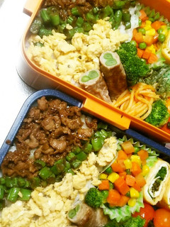 豚バラ肉でカリカリ③色そぼろ弁当☆-レシピのメイン写真
