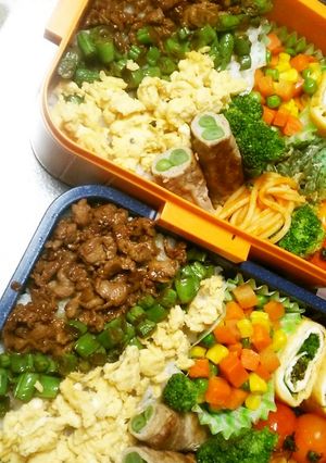 豚バラ肉でカリカリ③色そぼろ弁当☆-レシピのメイン写真