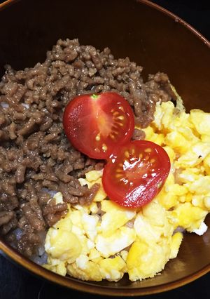 簡単2色丼♩-レシピのメイン写真