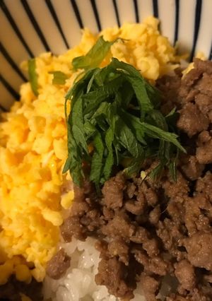 大葉がアクセント♩生姜の効いたそぼろ丼-レシピのメイン写真