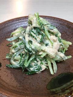 水菜とツナのサラダ-レシピのメイン写真