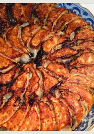 合挽き肉で作る、ワインに合う焼き餃子-レシピのメイン写真