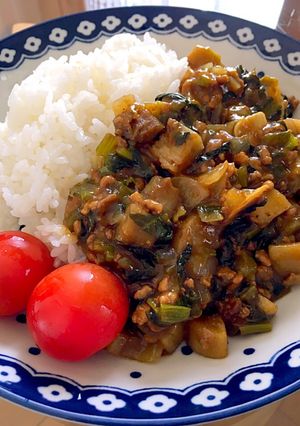 ゴボウと小松菜の和風キーマカレー-レシピのメイン写真