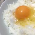 生卵のそのまま冷凍法