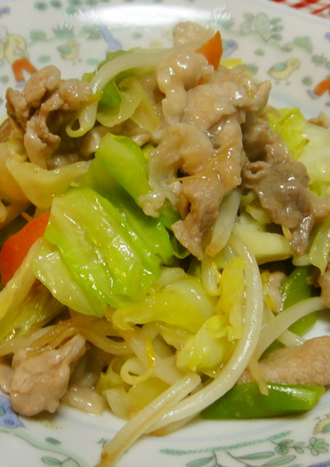 定番！肉野菜炒め-レシピのメイン写真