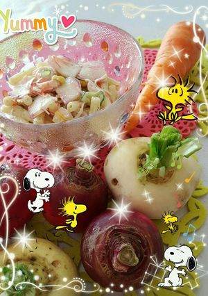 赤かぶのマカロニサラダ-レシピのメイン写真