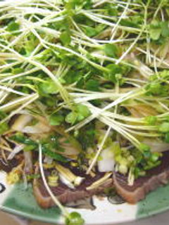 たたいて美味しい~!鰹のたたき☆-レシピのメイン写真