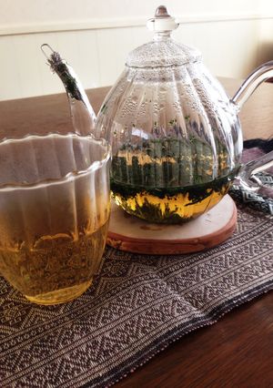 食物繊維&ルチン豊富 若ごぼう葉の焙じ茶-レシピのメイン写真