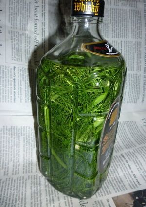 フェンネル酒-レシピのメイン写真