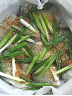 鯵の胡麻蒸し-レシピのメイン写真