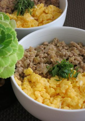 二色丼-レシピのメイン写真