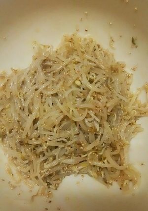 酒の肴にも。小鉢にも。モヤシのナムル-レシピのメイン写真
