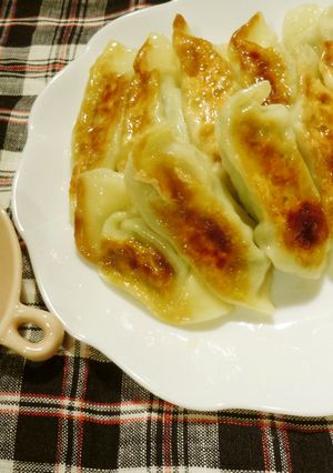 白菜で♪とうふ餃子-レシピのメイン写真