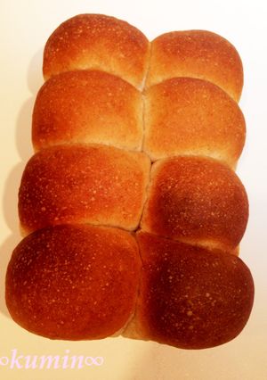 ヨーグルトと全粒粉のちぎりパン-レシピのメイン写真