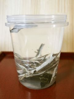 浸すだけ♪イリコと昆布のだし汁(メモ)-レシピのメイン写真