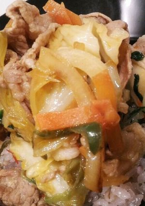 ゴハンがススム!豚肉と豆苗の甘辛丼-レシピのメイン写真