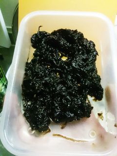 生海苔でご飯ですよ。-レシピのメイン写真