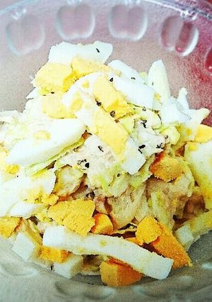 糖質ゼロ麺を使ったお手軽サラダ-レシピのメイン写真