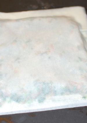 Saitaで紹介♪包まない餃子-レシピのメイン写真